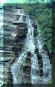 forestefoto1small.jpg (8208 byte)